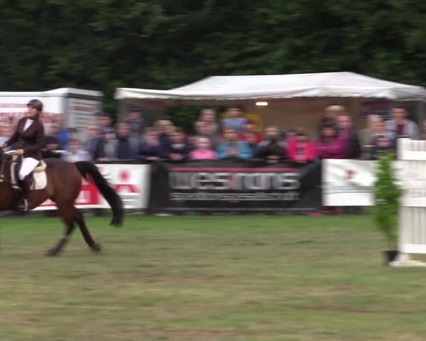 Reitturnier Borken 2017