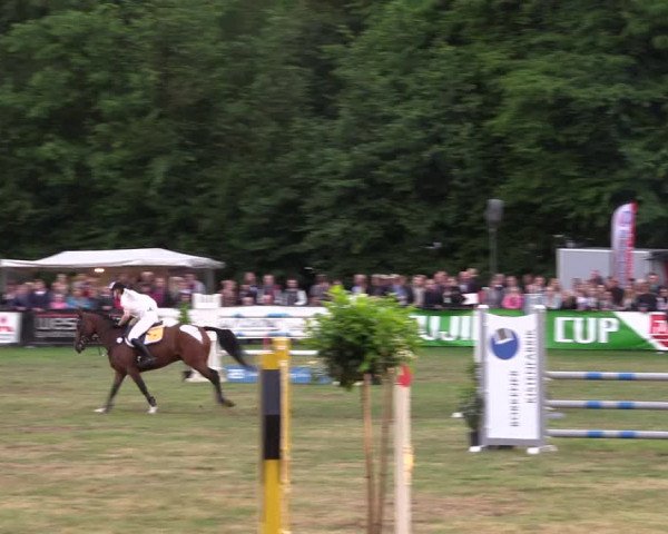 Reitturnier Borken 2017