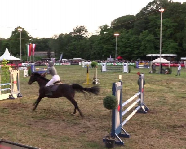 Reitturnier Borken 2017