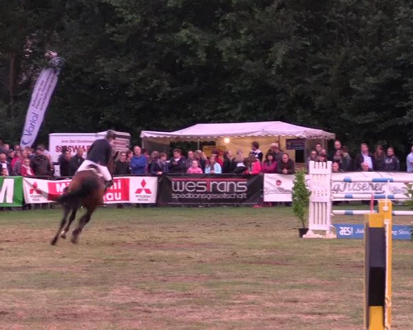 Reitturnier Borken 2017