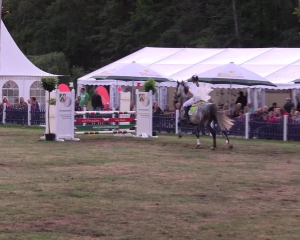 Reitturnier Borken 2017