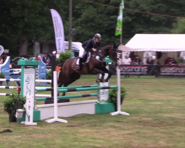 Reitturnier Borken 2017