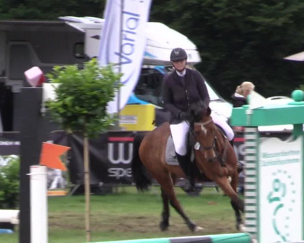 Reitturnier Borken 2017