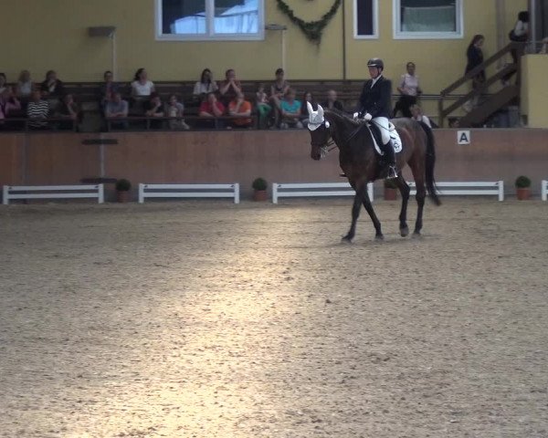 Reitturnier Frechen-Grefrath - Sonnenhof 2017