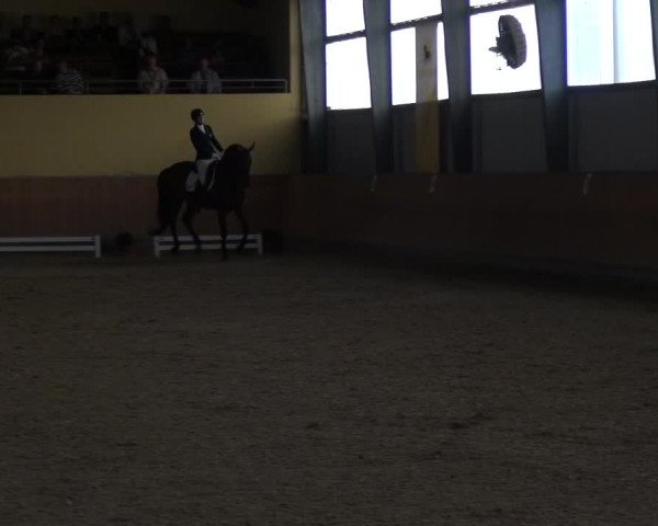 Reitturnier Frechen-Grefrath - Sonnenhof 2017