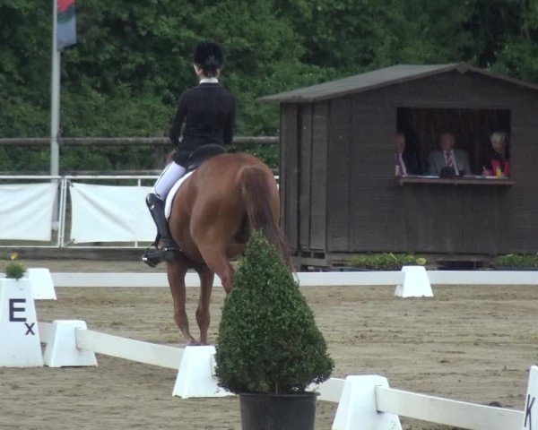 Reitturnier Frechen-Grefrath - Sonnenhof 2017
