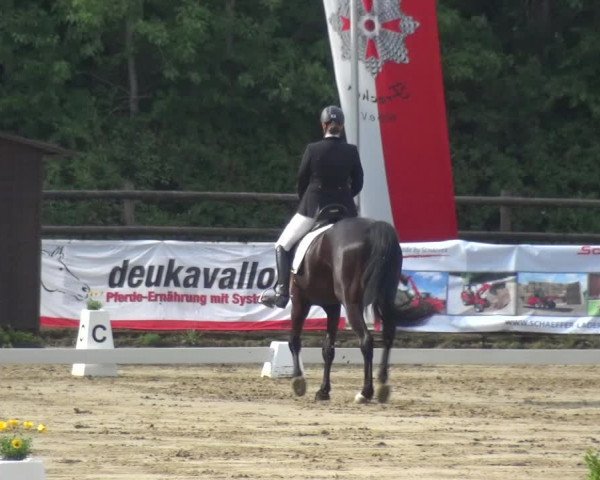 Reitturnier Frechen-Grefrath - Sonnenhof 2017