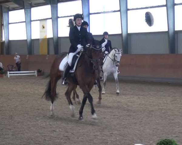 Reitturnier Frechen-Grefrath - Sonnenhof 2017