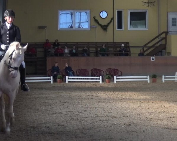 Reitturnier Frechen-Grefrath - Sonnenhof 2017