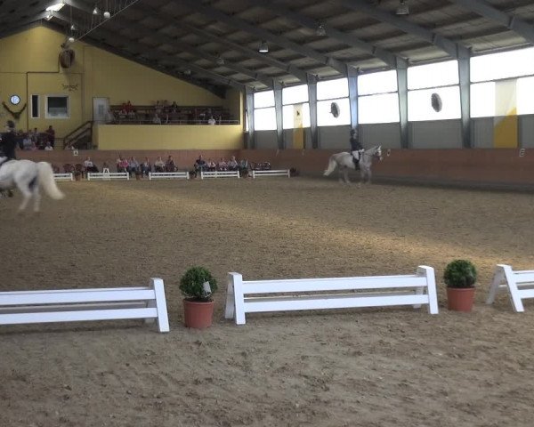 Reitturnier Frechen-Grefrath - Sonnenhof 2017