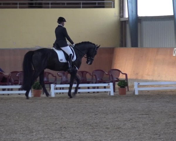 Reitturnier Frechen-Grefrath - Sonnenhof 2017