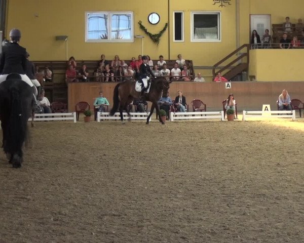 Reitturnier Frechen-Grefrath - Sonnenhof 2017