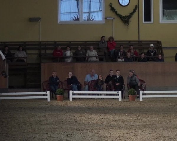 Reitturnier Frechen-Grefrath - Sonnenhof 2017
