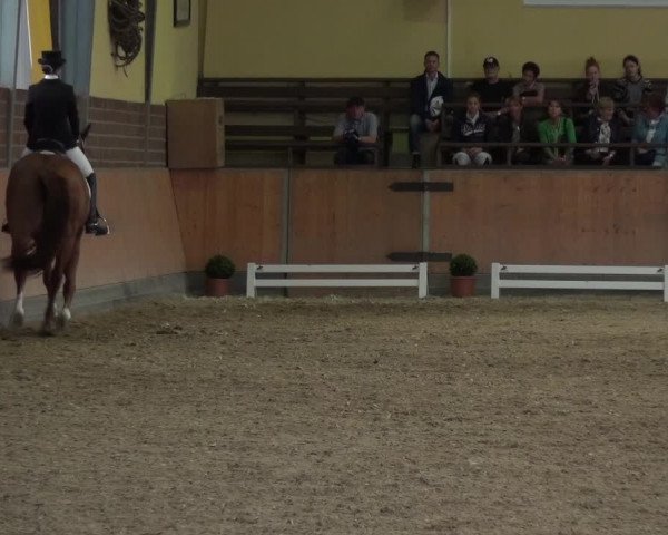 Reitturnier Frechen-Grefrath - Sonnenhof 2017