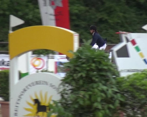 Reitturnier Frechen-Grefrath - Sonnenhof 2017