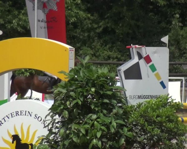 Reitturnier Frechen-Grefrath - Sonnenhof 2017