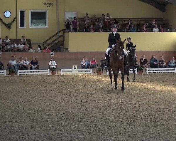 Reitturnier Frechen-Grefrath - Sonnenhof 2017