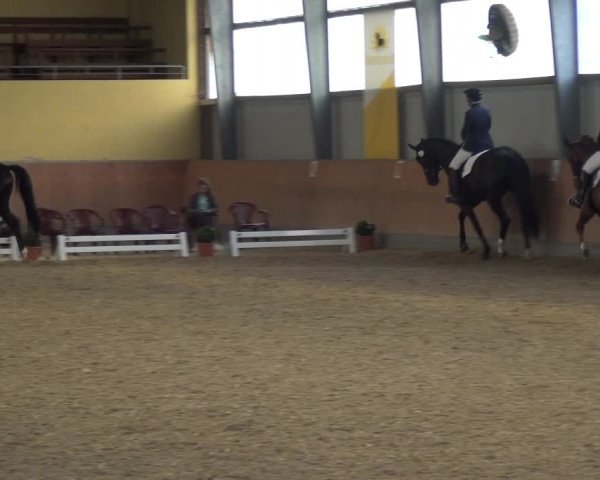 Reitturnier Frechen-Grefrath - Sonnenhof 2017