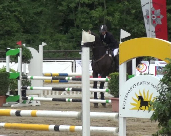 Reitturnier Frechen-Grefrath - Sonnenhof 2017