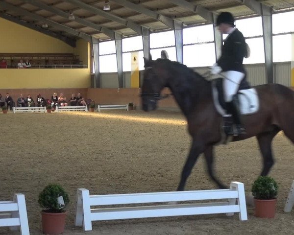 Reitturnier Frechen-Grefrath - Sonnenhof 2017