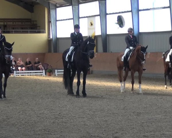 Reitturnier Frechen-Grefrath - Sonnenhof 2017