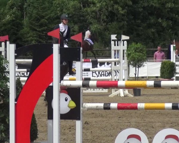 Reitturnier Frechen-Grefrath - Sonnenhof 2017