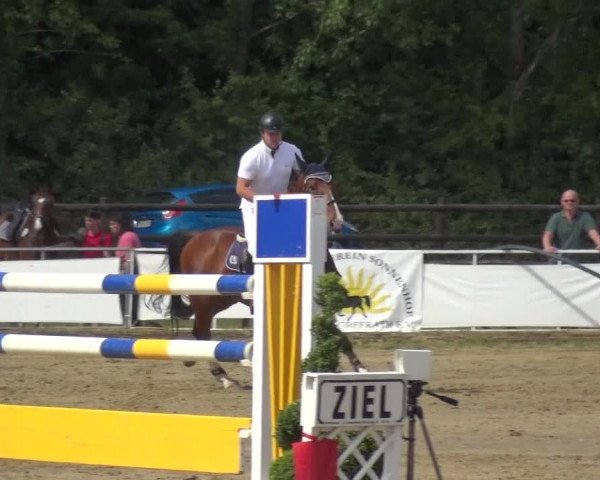 Reitturnier Frechen-Grefrath - Sonnenhof 2017