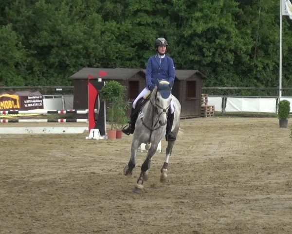 Reitturnier Frechen-Grefrath - Sonnenhof 2017