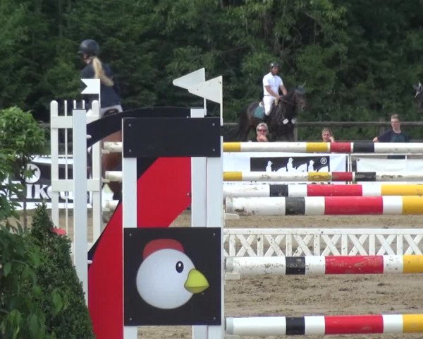 Reitturnier Frechen-Grefrath - Sonnenhof 2017
