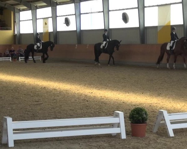 Reitturnier Frechen-Grefrath - Sonnenhof 2017
