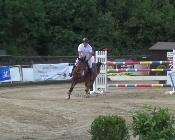 Reitturnier Frechen-Grefrath - Sonnenhof 2017