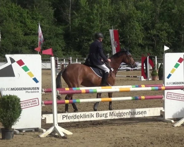 Reitturnier Frechen-Grefrath - Sonnenhof 2017