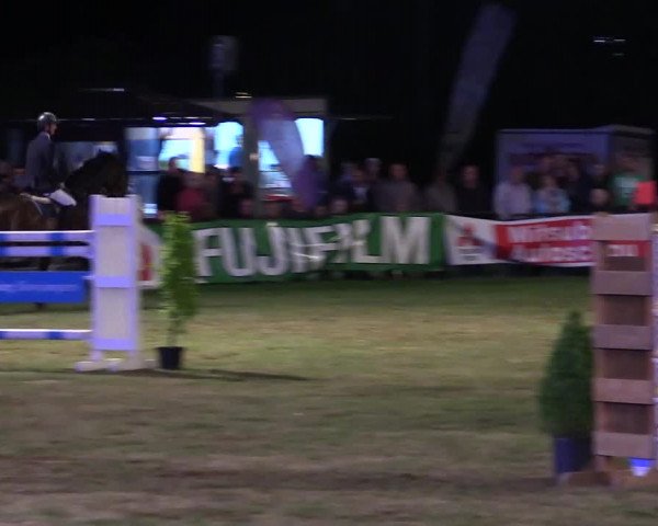 Reitturnier Borken 2017