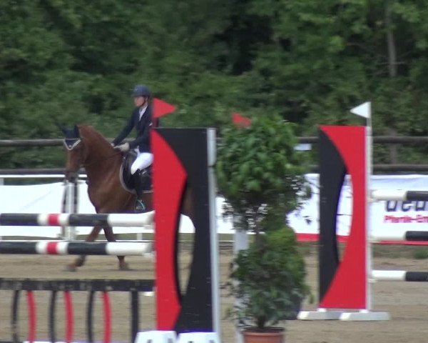 Reitturnier Frechen-Grefrath - Sonnenhof 2017