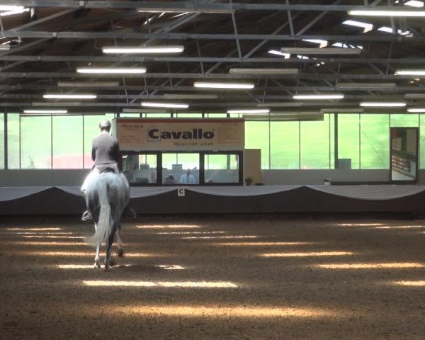 Reitturnier Bochum-Nord 2017