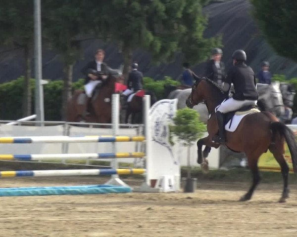 Reitturnier Frechen-Grefrath - Sonnenhof 2017