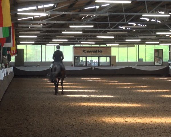 Reitturnier Bochum-Nord 2017