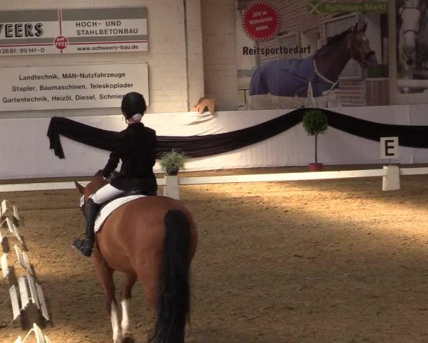 Reitturnier Borken 2017