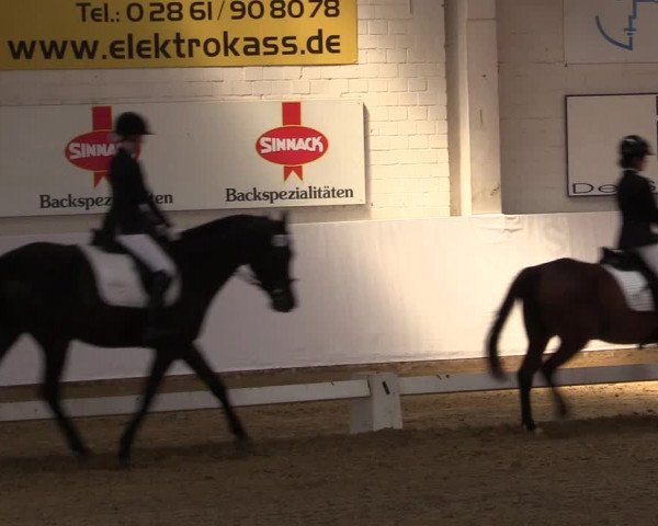 Reitturnier Borken 2017