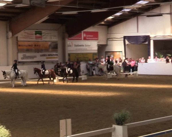 Reitturnier Borken 2017