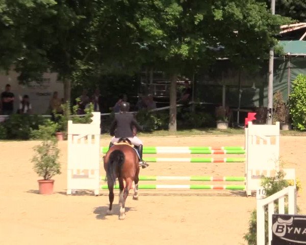 Reitturnier Bochum-Nord 2017
