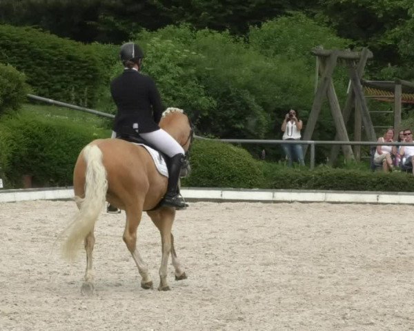 Reitturnier Kurtscheid 2017