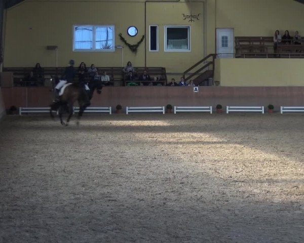 Reitturnier Frechen-Grefrath - Sonnenhof 2017