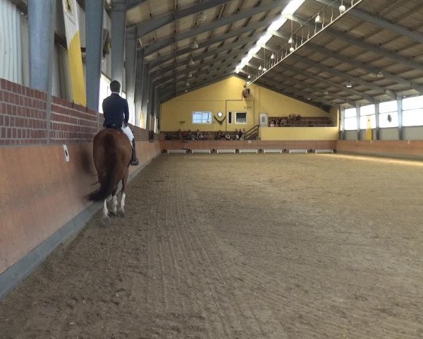 Reitturnier Frechen-Grefrath - Sonnenhof 2017