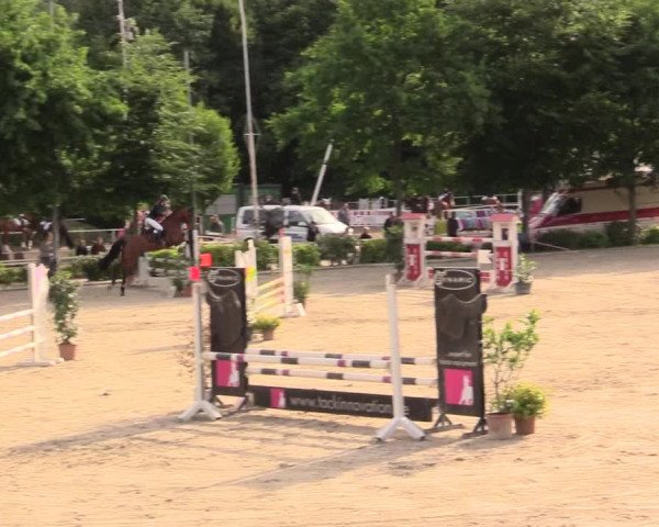 Reitturnier Bochum-Nord 2017