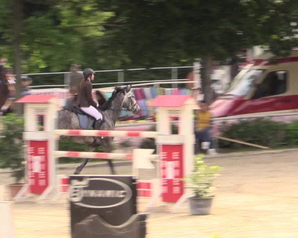 Reitturnier Bochum-Nord 2017