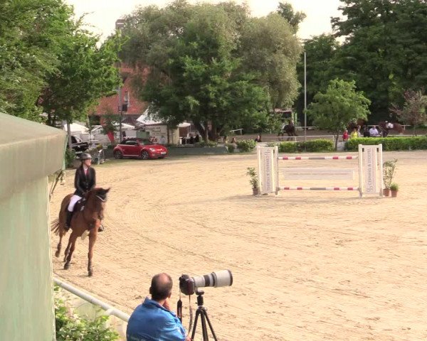 Reitturnier Bochum-Nord 2017
