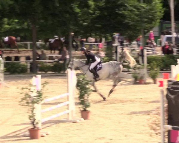 Reitturnier Bochum-Nord 2017