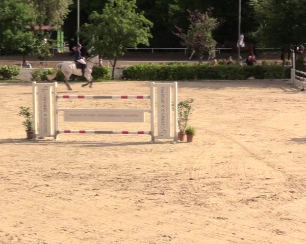 Reitturnier Bochum-Nord 2017