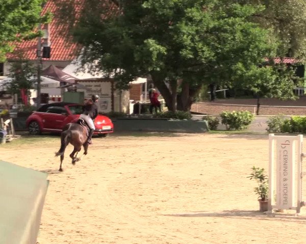 Reitturnier Bochum-Nord 2017